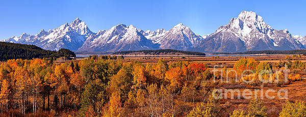 Jackson Lake Overlook Panorama by Adam Jewell Jackson Lake Overlook Panorama by Adam Jewell