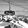 Jackson Hole Aerial Tram Over The Snow Caps Black And White